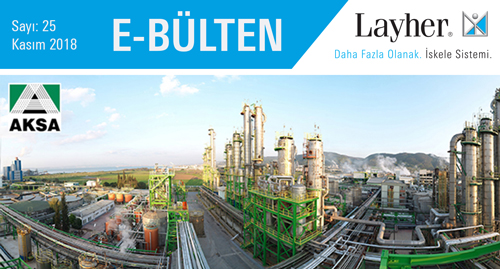 Sayı 25-Kasım 2018